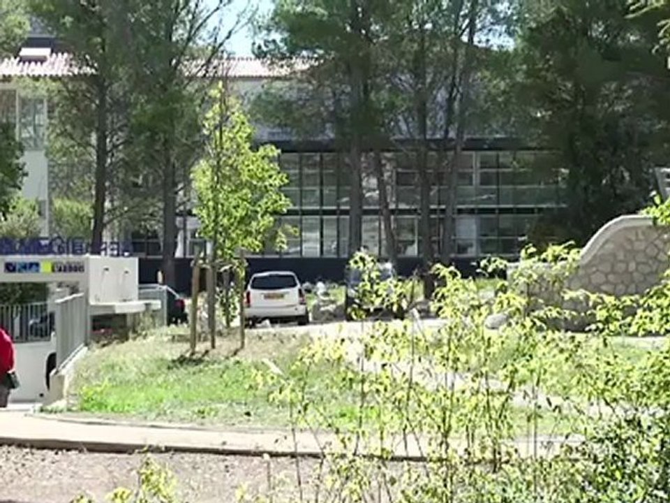 Présentation de l'Arbois