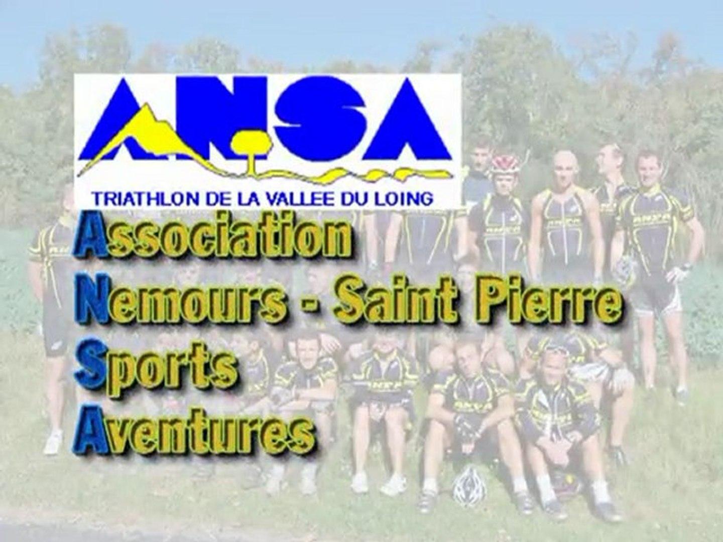 ANSA-presentation