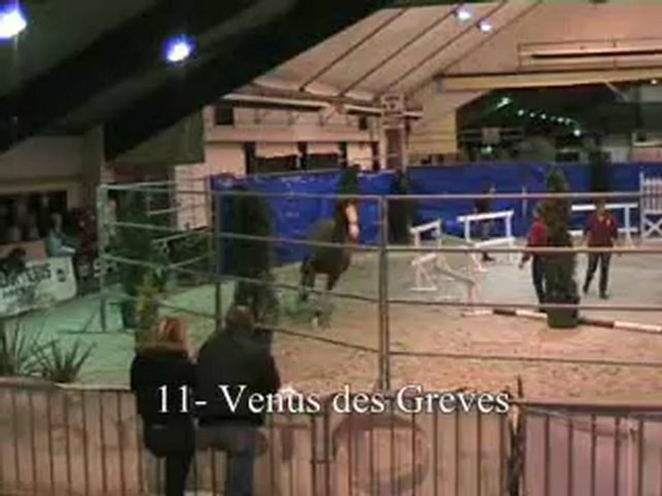 11-Venus des Greves