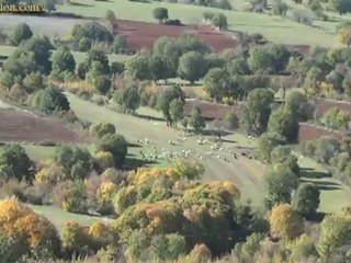 Tovoion News Channel ΑΓΝΑΝΤΕΜΑ ΣΤΟ ΒΟΪΟ 8-11-2012