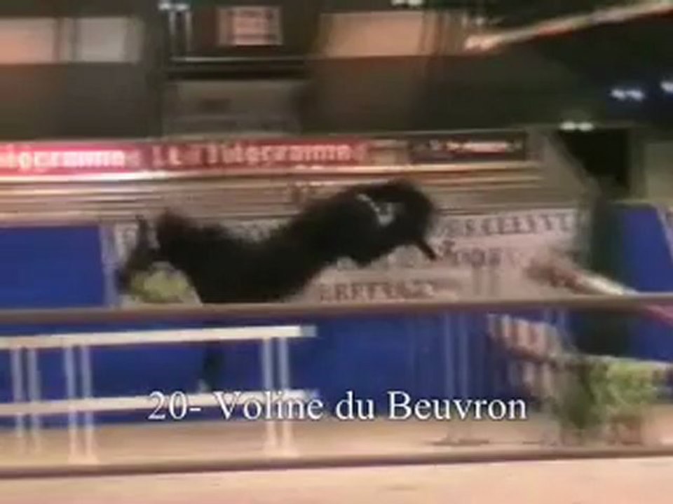 20-Voline du Beuvron