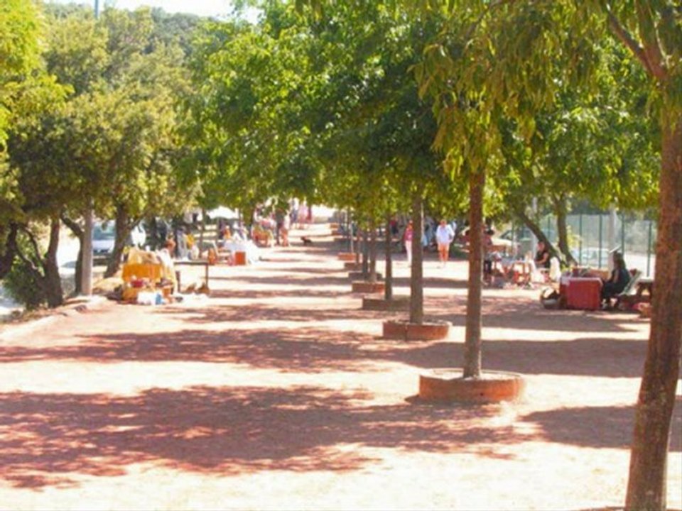 Baud paradisio