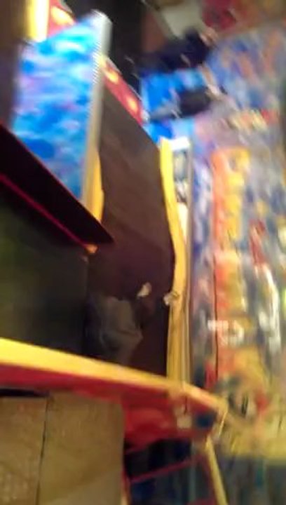 Foire 2012 / 3
