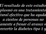 5 Elementos Para El Tratamiento Natural De La Diabetes Tipo 2