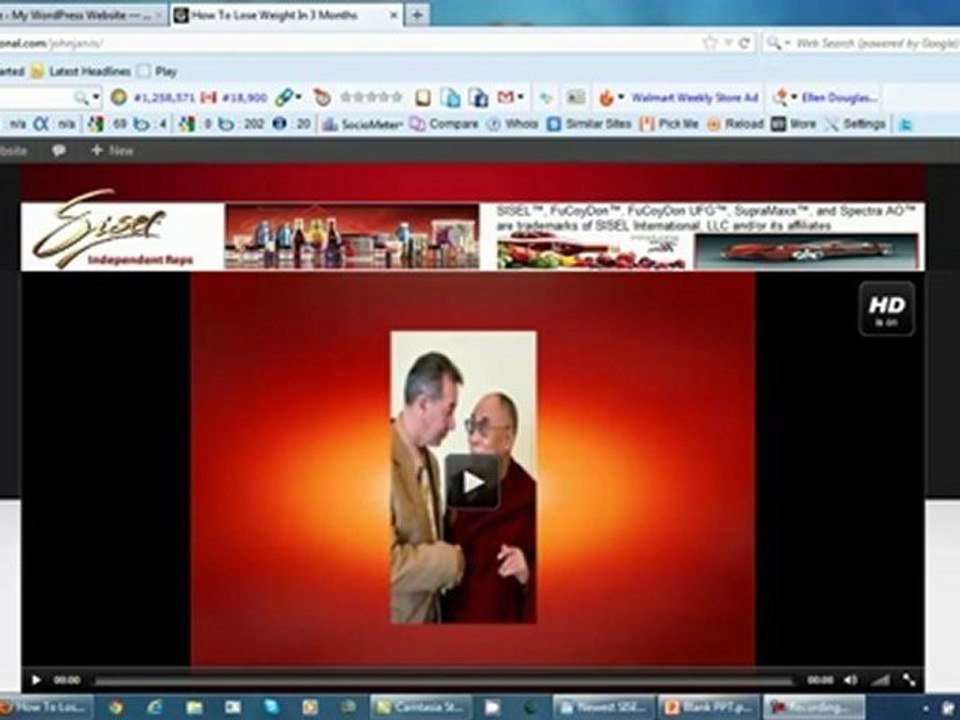 SISEL International Blogging System Video 2 Part 1