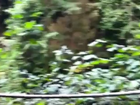 palovit şelalesinde tulum kavrun.tr.gg