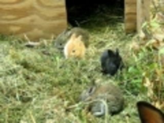 Lucy under the sky with her diamonds