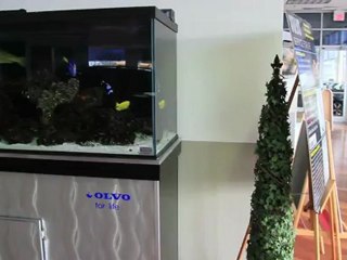 Welcome to Volvo of Oak Park