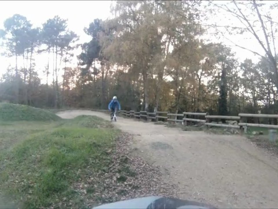 BMX2