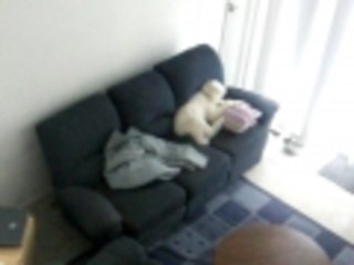 BUSTED!!!