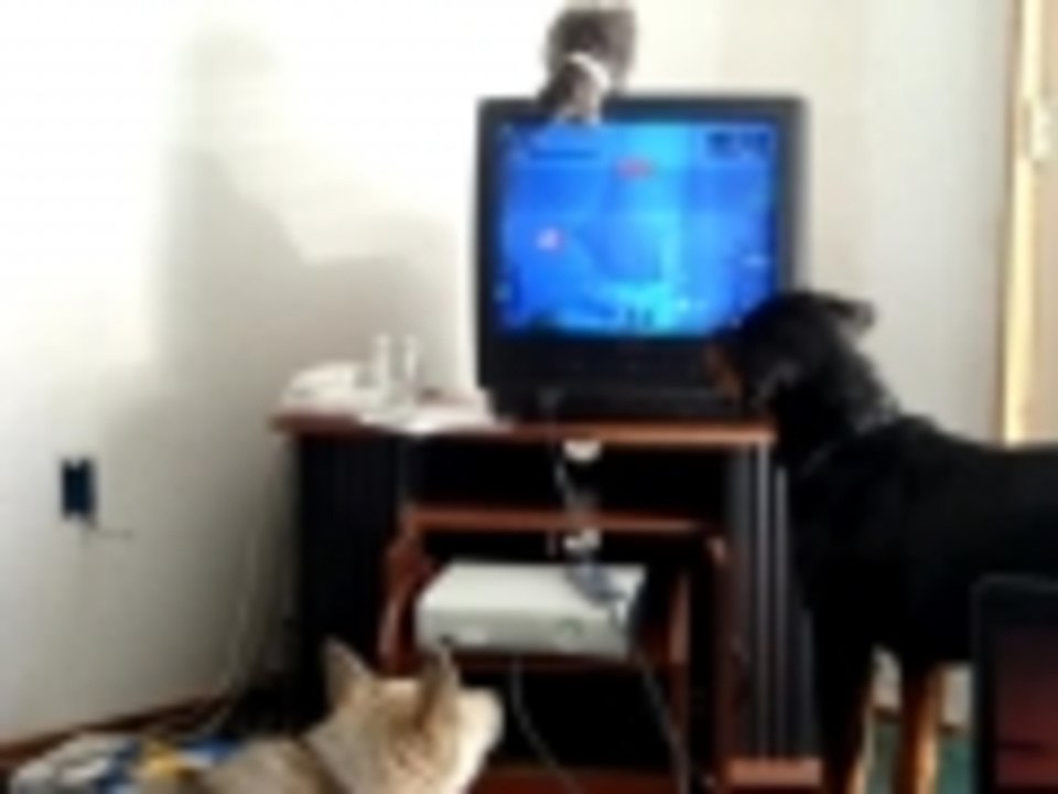 Video Game Viewers