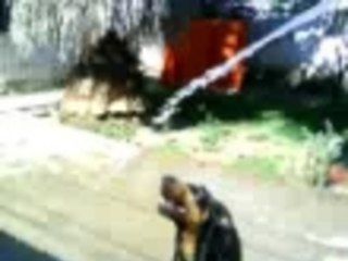 sweety having a bath