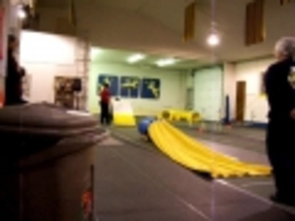 Teddie doing agility