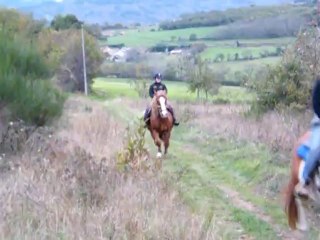 Ugo Galop