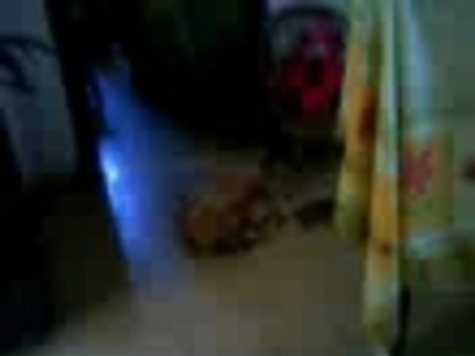 When the Tortoises attack