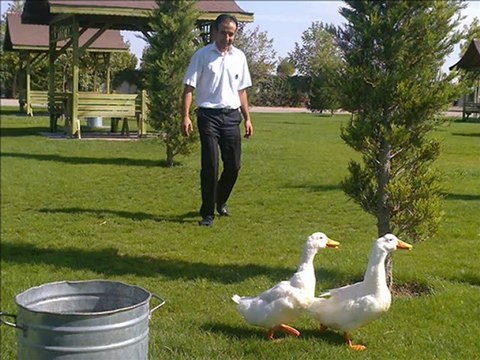 bülent ersoy aşktan sabıkalı