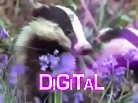 Funny animal video Voces y narrador Locuciones doblaje en ingles britanico en Madrid Edward Olive voice-overs Spain