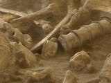 Woolly Mammoth Skeleton Discovered Near Paris Nicknamed 'Helmut'