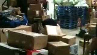 Walmart employees throwing iPads