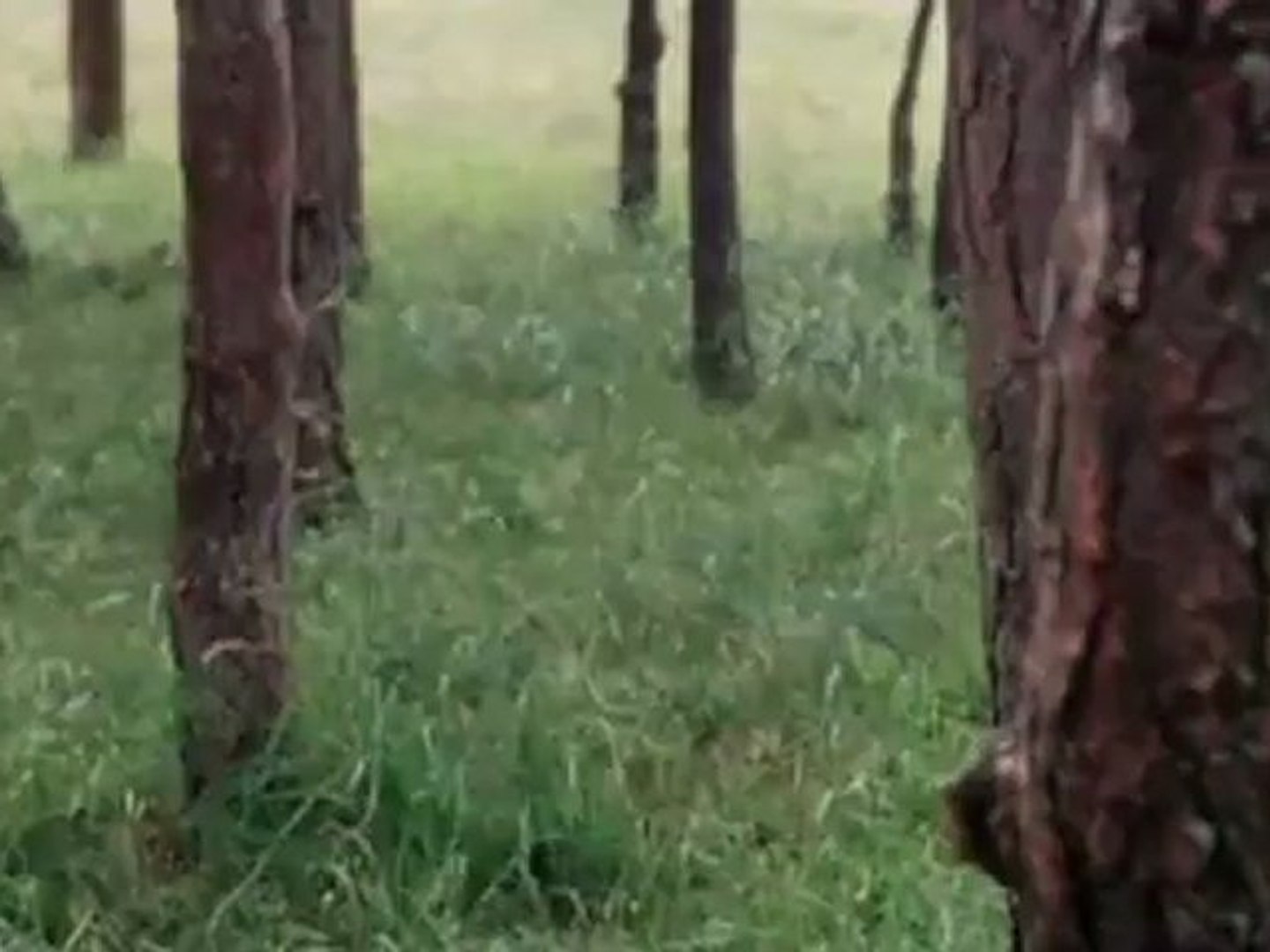 ⁣Sad Smile - Piano Medley (Tarkovsky film scenes)
