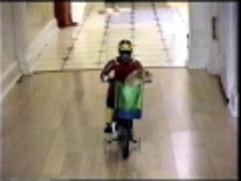 Hamster on a motorcycle