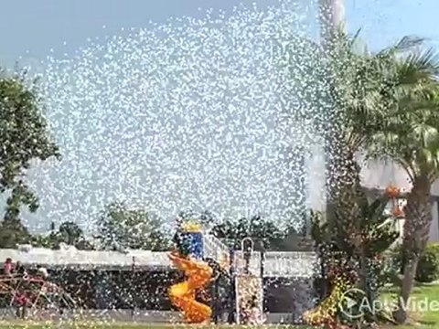 Singing Tree Apartments in Anaheim, CA - ForRent.com