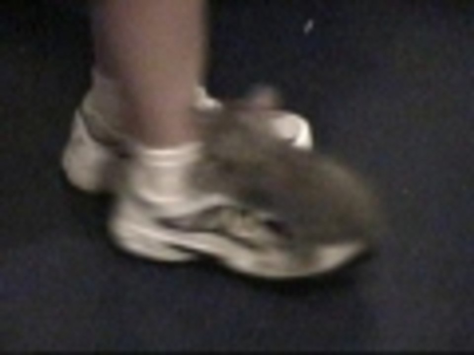 Hey... you got something on your shoe