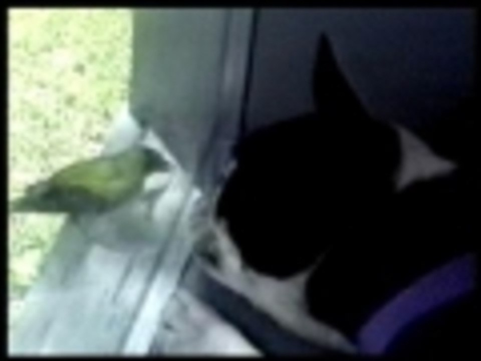 Forlorn lovers or bitter enemies?