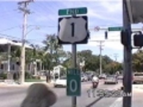 Why did the chickens cross the road?