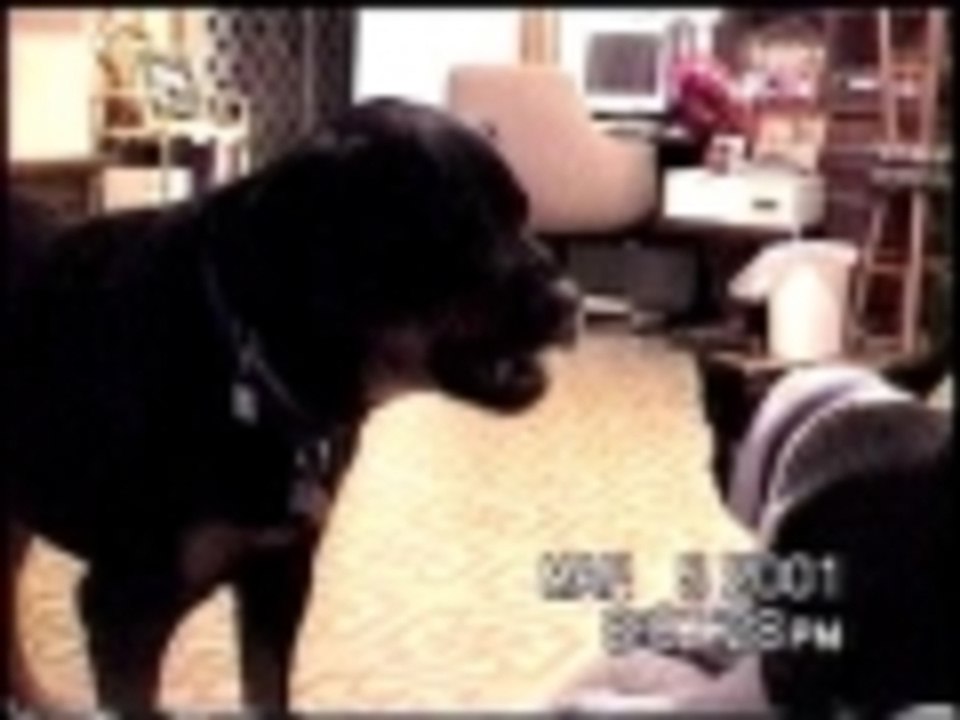 Hold me back - Hold me back