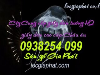 Cung cấp,bảng giá sàn gỗ tại quận 6 hcm call 0938 254 099
