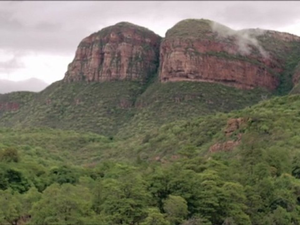 Orange AFCON, SOUTH AFRICA 2013