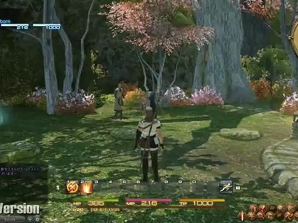 Final Fantasy XIV : A Realm Reborn (PS3) - Découverte de Gridania