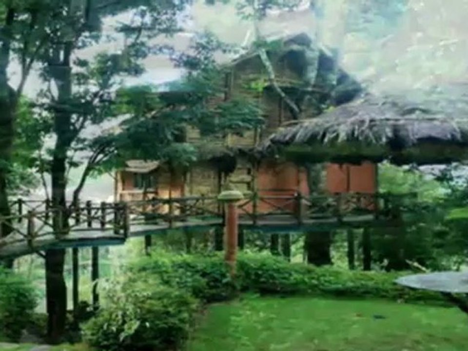 Have a Look at Kerala Hill Stations Tour