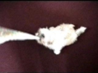 I dont think he wants to go for a walk