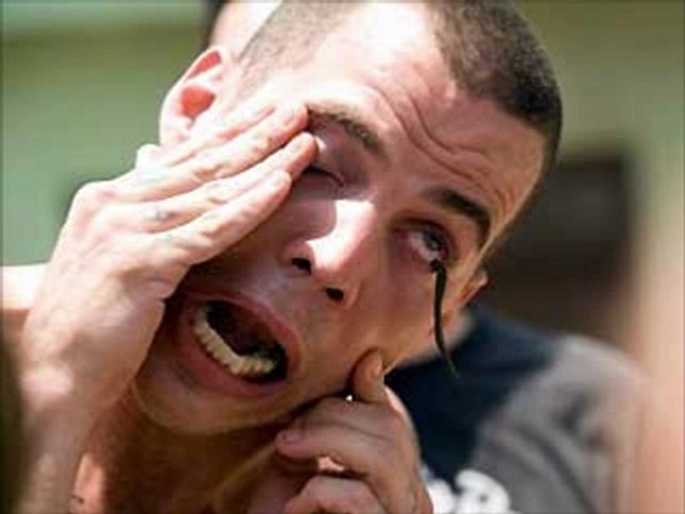 Jackass 3D online watch www.hdmoviespool.com