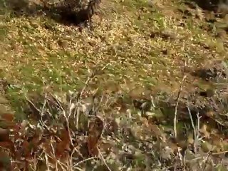 DİYABAKIR ÇÜNGÜŞ KARAKAYAKÖYÜ