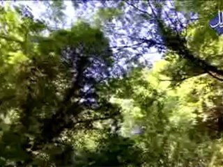 برنامج مشاهد 2 - الشيخ نبيل العوضي - الحلقة 9