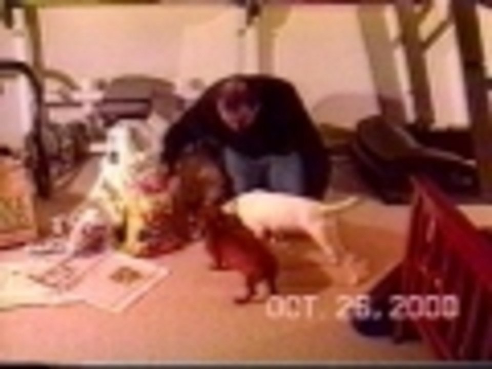2 Minute Theater presents - New Doggy Attitude