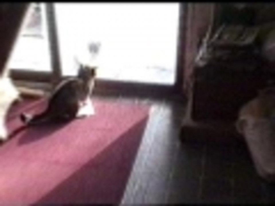 Really tough behind a glass door