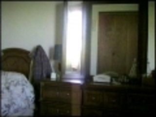 Feline Phone Operator