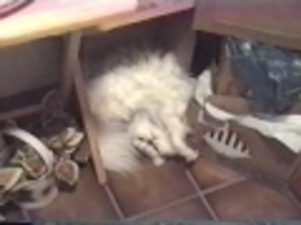 Finally found that comfortable spot