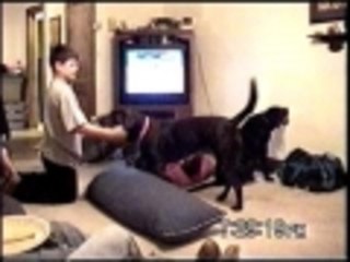 Mmmm.  Now thats a tasty wall.