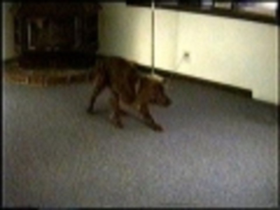 What did we do before laser pointers were invented?