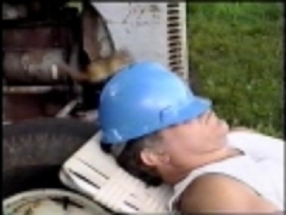 Chipmunk goes nuts for a man in a hard hat