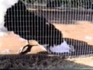 I bet you will learn something from this clip