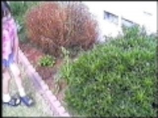 Attack of the psycho jungle cat