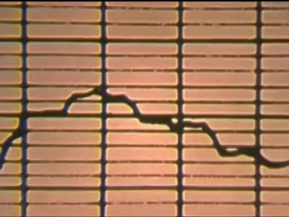 Movie_09_(Відкриття космічних радіохвиль)