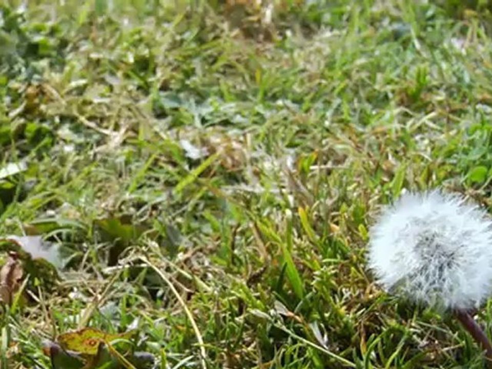 Movie_56_(Сонячне світло)