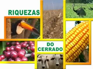 Agro Mais do dia 09-11-2012